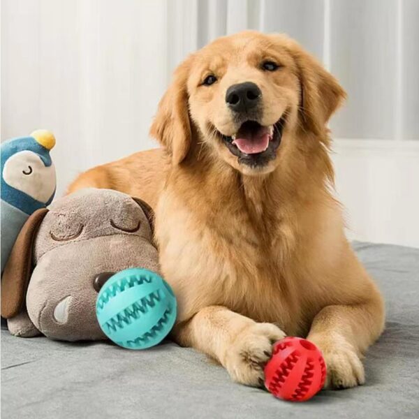 Toy Ball For Pet Dogs Puppy - Image 8