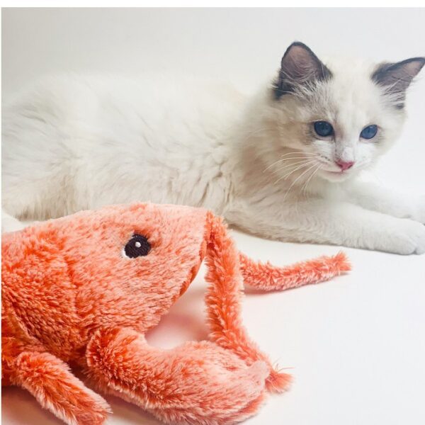 Pet's Funny Toys - Image 10