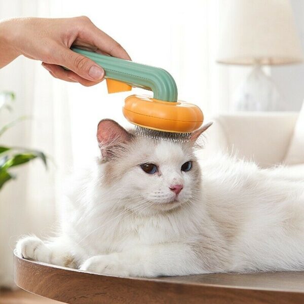 Pet Pumpkin Brush - Image 2
