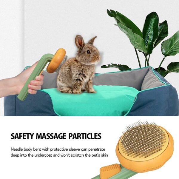 Pet Pumpkin Brush - Image 6